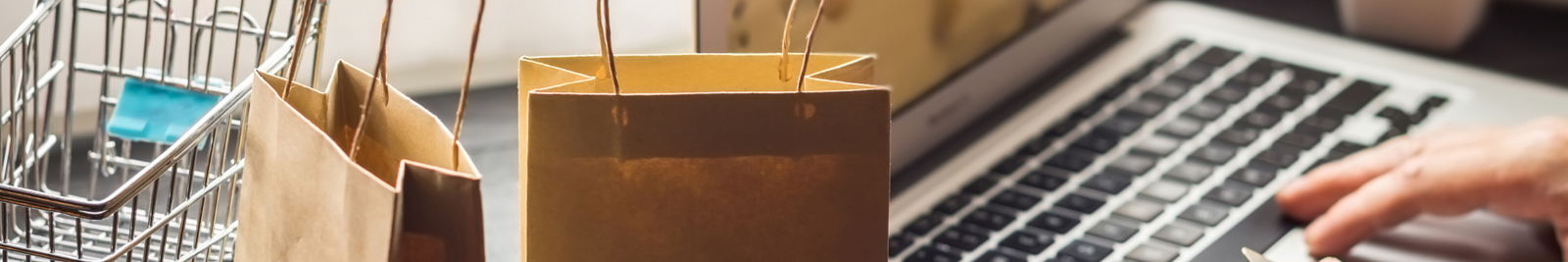 Courier Bags