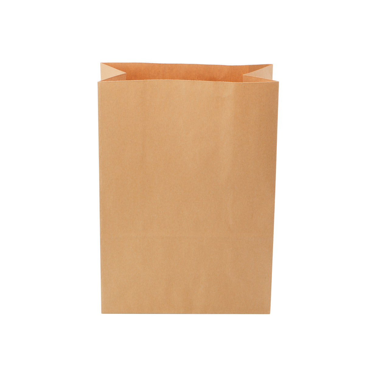 Brown Kraft Checkout Bag Medium - Portrait